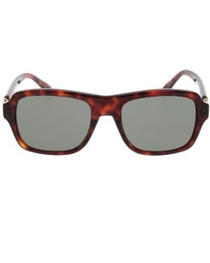 Fred Sonnenbrille - Braun