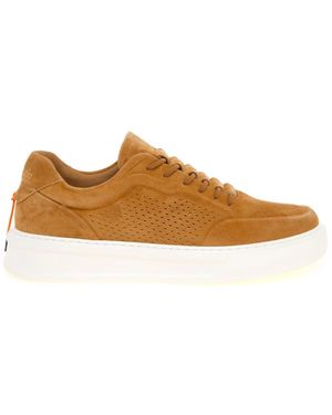 Barracuda Phoenix Slip-On Sneaker - Bruin