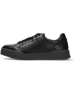 Salamander Sneakers - Negro