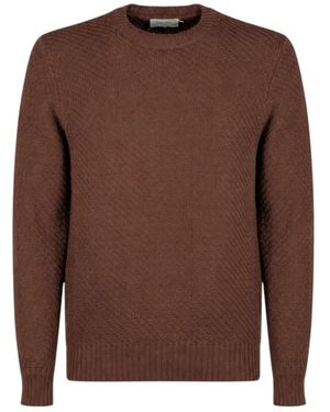 Circolo 1901 Round-Neck Strickwaren - Braun