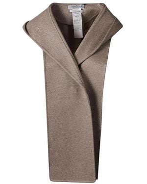 Max Mara Winter Scarves - Marrón