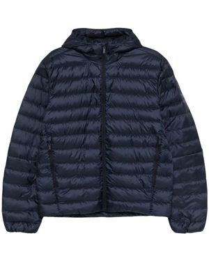 Canada Goose Winter Jackets - Blue