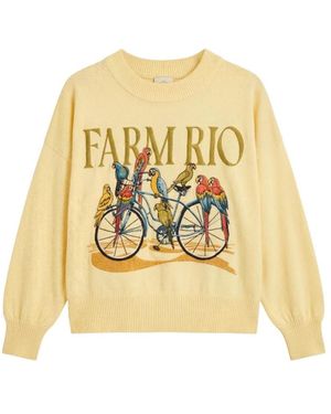 FARM Rio Bestickter Pullover - Gelb