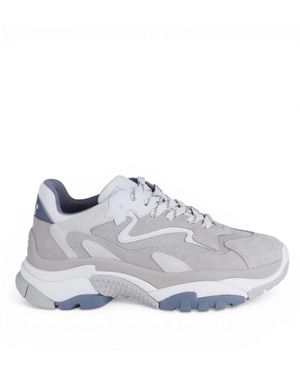 Ash Sneakers Addict - Grau