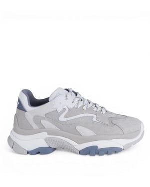 Ash Trainers - Grey