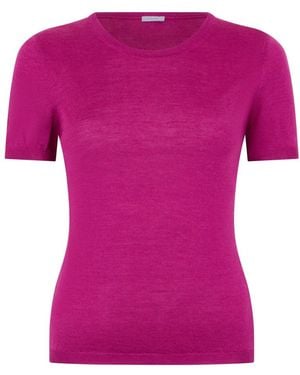 Malo Cashmere Knitwear - Morado
