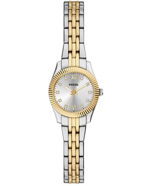 Fossil Accessoires ,Veelkleurig ,Watches - Metallic