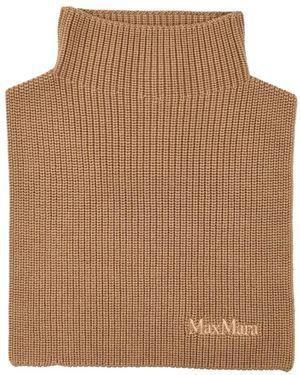 Max Mara Winter Scarves - Brown