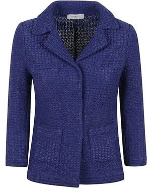 Charlott Blazers - Blue