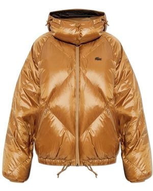 Lacoste Relaxed Fit Kapuzen-Daunenjacke - Braun