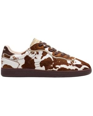HOFF Schoenen ,Bruin ,Leer Terrace Sneaker