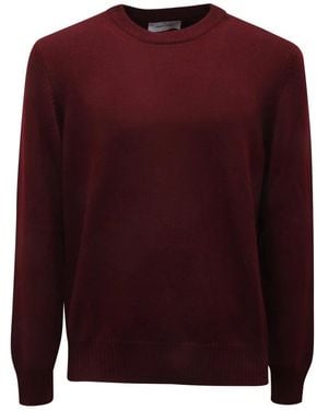 Gran Sasso Truien & Vesten ,Rood ,Wol Paricollo M - Paars
