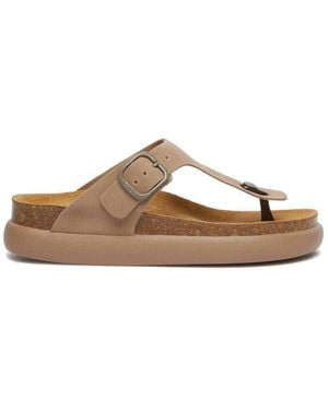 Scholl Flip Flops - Brown