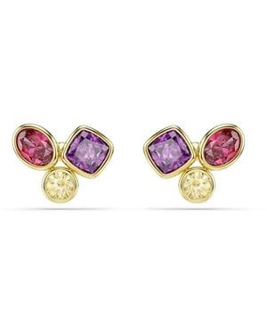 Swarovski Imber Stud Earrings - Roze