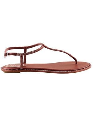 Rene Caovilla Flat Sandals - Brown