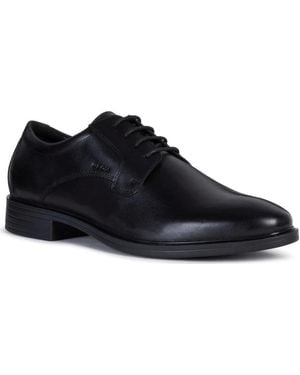 Geox Business Shoes - Zwart