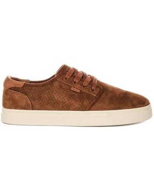 TOMS Trainers - Brown