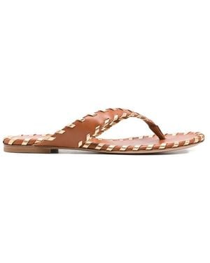 Gianvito Rossi Flip Flops - Brown