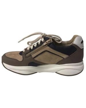 Xsensible Sneakers - Marron