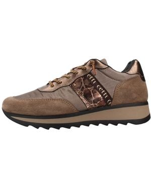Cetti Schoenen ,Bruin ,Suède C849Sra Deportivo Ante Bunny