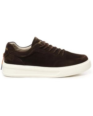 Barracuda Trainers - Black