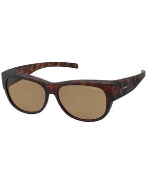 Polaroid Sunglasses - Brown