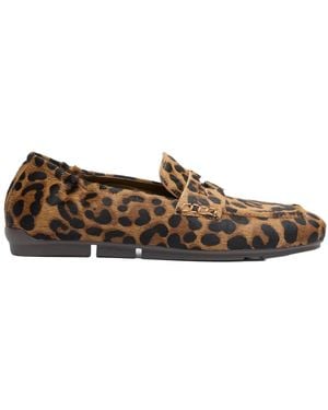 Ash Loafers - Brown