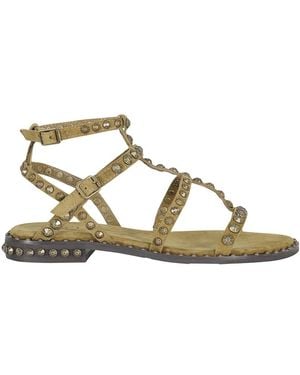 Ash Flat Sandals - Metallic