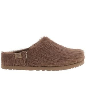 UGG Slippers - Brown