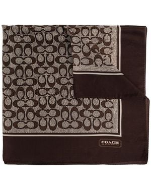 COACH Silky Scarves - Marrone