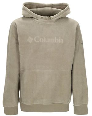 Columbia Stein Grüner Mountain Hoodie Herren - Grau