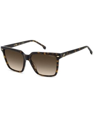 Carrera 3069/S Zonnebril - Bruin
