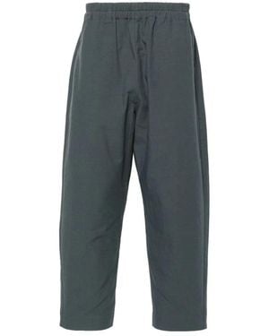 Toogood Cropped Trousers - Grigio
