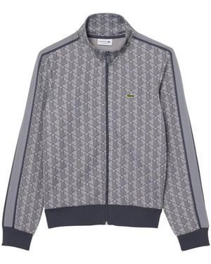 Lacoste Zip-Throughs - Gris