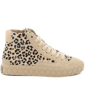 Palladium Shoes - Neutre