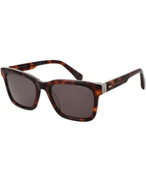 Ted Baker Sunglasses - Marrone