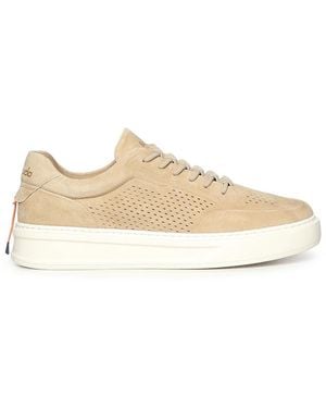Barracuda Schoenen ,Leer Phoenix Sneakers - Naturel