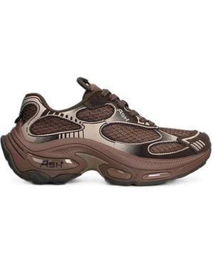 Ash Sneakers - Marrone