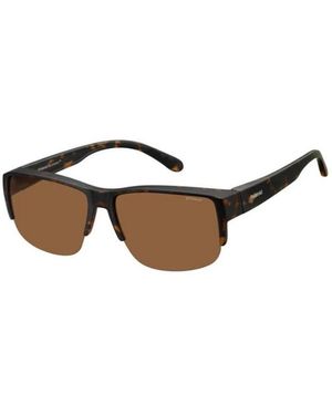 Polaroid Sunglasses - Brown
