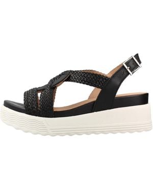 Stonefly Wedges - Negro