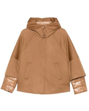 Herno Winter Jackets - Bruin