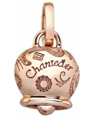 Chantecler Accessoires ,Roze ,Broches