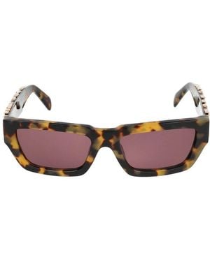 Barrow Sunglasses - Brown