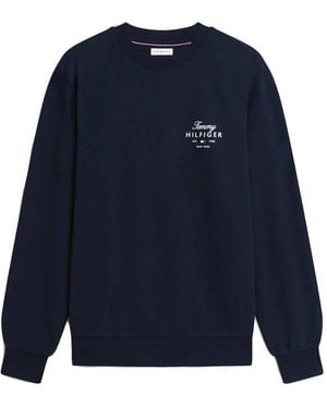 Tommy Hilfiger Hoodies & Sweatvesten ,Blauw ,Script Stack Sweatshirt