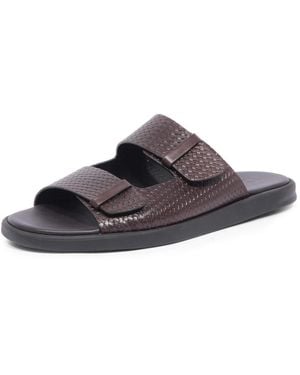 Doucal's Sliders - Brown