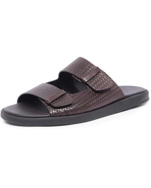 Doucal's Sliders - Brown