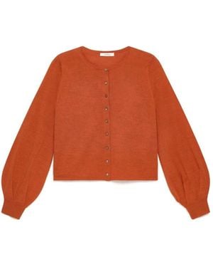 Maliparmi Cardigans - Orange