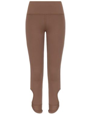 EA7 Leggings - Marron