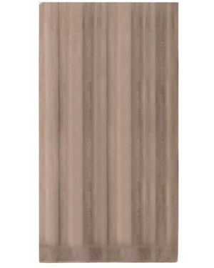 Elisabetta Franchi Scarves - Brown
