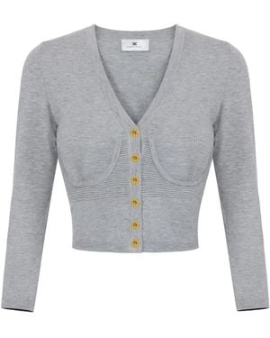 Elisabetta Franchi Truien & Vesten ,Grijs ,Gebreide Cardigan